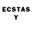 Ecstasy таблы Gamer 345