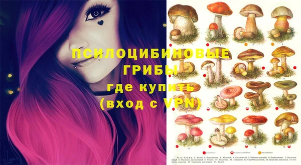 кокаин колумбия Алексин
