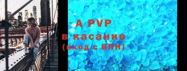 СК Абинск