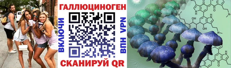 Псилоцибиновые грибы MAGIC MUSHROOMS  сколько стоит  Энгельс 